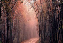 黑白体育官网:斯诺克球员锦标赛:墨菲6-4击败霍金斯晋级8强,.