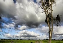 不老传奇还在继续!50岁的丘索维金娜摘得世界杯跳马铜牌澎湃新闻.