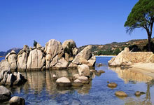 黑白体育官网：法尔克：若格雷茨卡延续出色表现，拜仁不排除与他续约.